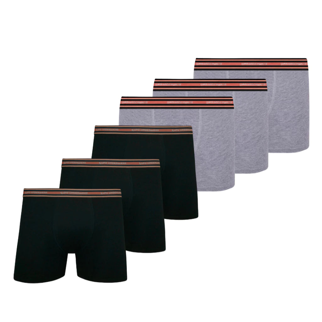 Kit 6 Cuecas Boxer Lupo Microfibra Poliamida Sem Costura Adulto Masculino