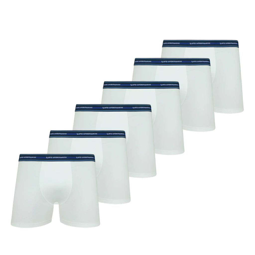 Kit 6 Cuecas Boxer Lupo Microfibra Poliamida Sem Costura Adulto Masculino