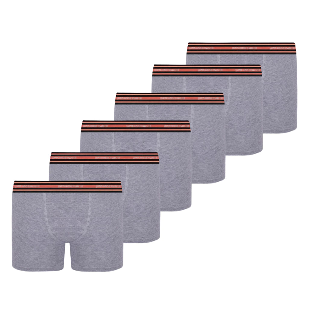 Kit 6 Cuecas Boxer Lupo Microfibra Poliamida Sem Costura Adulto Masculino