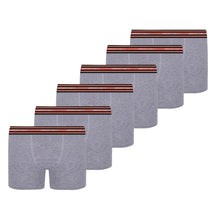 Kit 6 Cuecas Boxer Lupo Microfibra Poliamida Sem Costura Adulto Masculino