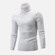 Suéter Masculino Pullover de Gola Alta Ferrutini FRT231