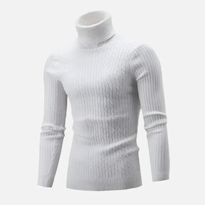 Suéter Masculino Pullover de Gola Alta Ferrutini FRT231