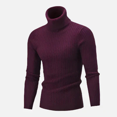 Suéter Masculino Pullover de Gola Alta Ferrutini FRT231